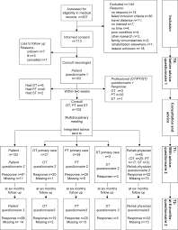 Flow Chart Showing The Inclusion Consultation And Advice