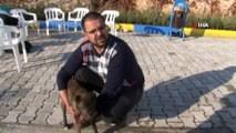 Mardin De Kopege Katarakt Ameliyati Yaptilar Dailymotion Video