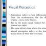 Visual Perception ppt from www.slideshare.net