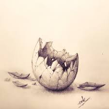 What Was In There Egg Shell Pencil Drawing Shell Drawing Pencil Drawings Easy Pencil Drawings