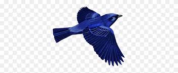 Search and use 100s of blue bird clipart clip arts and images all free! Dark Blue Bird Clip Art Birds Birds Blue Bird And Art Blue Jay Clipart Stunning Free Transparent Png Clipart Images Free Download