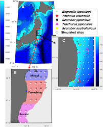 Using sims, to date the base of. Numerical Modelling Of 137cs Content In The Pelagic Species Of The Japanese Pacific Coast Following The Fukushima Dai Ichi Nuclear Power Plant Accident Using A Size Structured Food Web Model