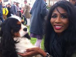 Cavalier King Charles Spaniel Breeders near Henlow, Bedfordshire