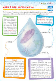 To view the full png size resolution click on any of the below image thumbnail. Vivacemente Il Giornalino Del Cuore E Della Mente Virus E Altri Microrganismi Spiegati Ai Bambini