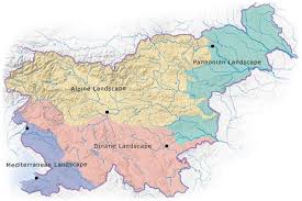 Im südwesten sloweniens gelegen, am weg richtung adriaküste, ist die tropfsteinhöhle von postojna (postojnska jama), auch adelsberger grotte genannt, die besucherstärkste schauhöhle europas. Landkarte Slowenien Verwaltungsbezirke Weltkarte Com Karten Und Stadtplane Der Welt