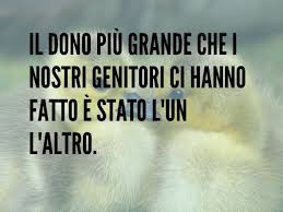 Auguri al mio fratello speciale. Frasi Per Matrimonio Fratello