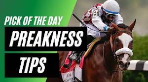 The belmont stakes, normally the final leg of the triple crown, was held in new york in june, the derby in september, and the preakness, usually the second of the three races, came in october. Preakness Horses 2021 Tracker Updates And Latest News