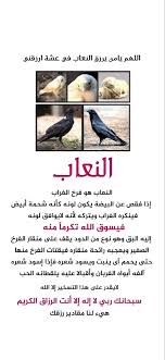 السعوديه الخليج رمضان الشرق الأوسط سناب كويت فايروس كورونا تصميم شعار لوقو دعاء Snapchat Ads Ugs