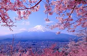 Pin On Laptop Wallpaper Desktop Wallpapers
