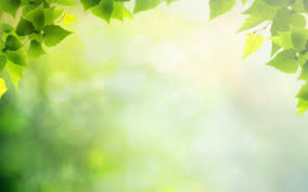 Do you want a straight to the point design for your message? Ppt Wallpapers Wallpaper Cave