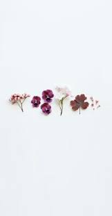Pink Blooms Flower Iphone Wallpaper Flower Phone Wallpaper Flower Aesthetic