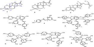 Image result for Cyphostemma crotalarioides