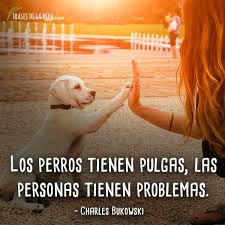 Maybe you would like to learn more about one of these? 120 Frases De Perros Los Mejores Amigos Del Hombre Con Imagenes