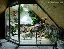 My Dream Terrarium Reptile Habitat Reptile Room Animal Room
