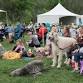 Central Ohio Folk Festival 2026
