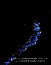 Glowing Sea Of Stars Bioluminescence Vaadhoo Island Raa Atoll Maldives Sea Of Stars Nature Wallpaper Bioluminescence