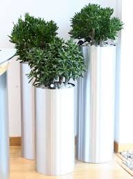 Office Plants Office Pot Plants Office Tropical Plants Patio Y Jardin Jardines Plantas Decorate your home and garden with our versatile range, including wall and indoor house planters and large plant pots.