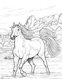 Horse Coloring Pages For Adults Best Coloring Pages For Kids Horse Coloring Pages Horse Coloring Books Horse Coloring