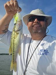 Terrova transducer mounts for easy installation