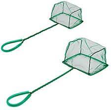 amazon com pawfly aquarium fish net set fish catch nets with plastic handle 6 inch and 4 inch pack pet supplies balik