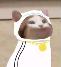 Kitty cats are cuddly, cute, loveable and funny, so they will surely rank high in many of our wallpaper fans' preferences. Pin By Brightheart168 On Dream Smp In 2021 Pop Cat Mc Wallpaper Youtube Art