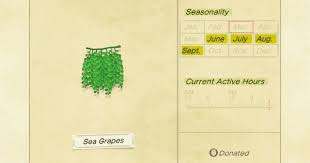 Acnh Sea Grapes How To Catch Price Animal Crossing Gamewith