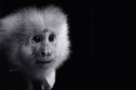 David Lynch: Un cine de sueños y pesadillas