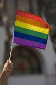 From our lgbtq pride flags, to groups and tribe pride flags, on today's episode, we cover them all and tell you a little about each of them.pbr merch: Bild Zu Hate Crime Haft Nach Verbrennen Der Pride Flag Bild 1 Von 1 Faz