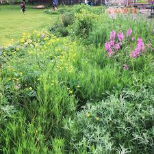 Permaculture