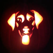 carve a pumpkin to look like your dog free printable stencils carving tips woof woof mama