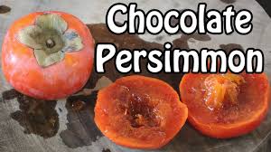 Chocolate persimmon trees are inexpensive when purchased from the largest retailer. Chocolate Persimmon Looks Rotten But Tastes Delicious Weird Fruit Explorer Ep 394 Youtube