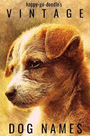 101 Old Fashioned Dog Names For Girl Puppy Cuteness Girl Dog Names Cute Girl Dog Names Girl And Dog