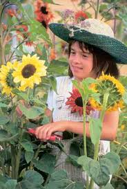 Growing cut flowers for profit. Grow Flowers For Profit Organic Gardening Mother Earth News