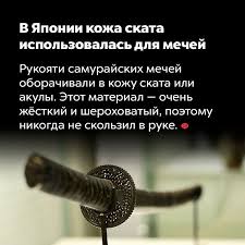 самый умный человек поступил в университет в 4 года Pin Ot Polzovatelya Viktor Ponomarenko Na Doske 308 Knives Swords Zabavnye Fakty Interesnye Fakty Veselye Fakty
