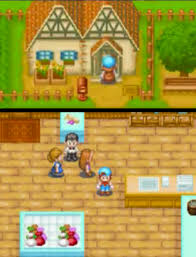 Friends of mineral town is a video game for the game boy advance, developed and published by marvelous interactive. Supermarket Fomt The Harvest Moon Wiki Fandom
