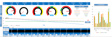 fitness tracker template excel to track your fitness