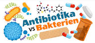 Die Geschichte Der Antibiotika | Ask A Biologist