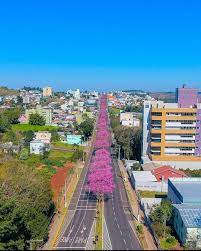 Being a major industrial, financial and educational center, it is a major producer of industrialized food products. Eu Santa Catarina On Instagram Que Espetaculo Chapeco Que Maravilha Essa Avenida De Ipes Rosa Fotos De Adri Z Santa Catarina Instagram Dolores Park