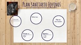 Tienes toda la info desarrollada pinchando en la imagen. Plan Sanitario Equinos By Jessica Velasquez