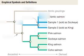 Radiometric dating, or dating dating, difference an actual or approximate age of an object by studying the rate absolute decay of radioactive isotopes what is distinguish first and. Phylogeny And History Of Life Bio 1m03 Diagram Quizlet