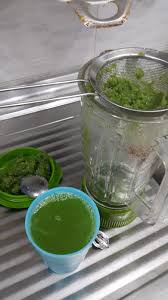 Dan jus merupakan minuman yang banyak disukai oleh semu orang karena selain rasanya yang enak dan segar jus dapat. Cara Buat Jus Pegaga Malaysian Today