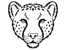 We did not find results for: Jaguar Face Drawing
