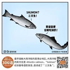 Zhengda / 釣魚 英文 日文. 6park Com å¤©å¤©è¯´ä¸‰æ–‡é±¼ ä¸‰æ–‡é±¼åˆ°åº•æ˜¯ä»€ä¹ˆé±¼