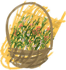 They are in a brown wicker basket with. Flowers In A Basket Clipart Free Download Transparent Png Creazilla