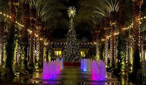 Arizona Shopping Mall Christmas Tree And Lighted Palm Trees Lighted Palm Trees Line A Pool And Colored Fountains In 2020 Christmas Tree Lighting Palm Trees Fountains