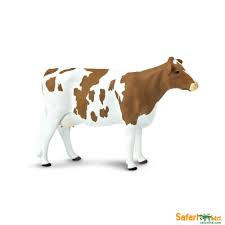 5 Brown And White Ayrshire Cow Educational Teaching Figurine Animal Figurines Cow Animals