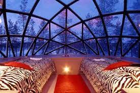 Hotel Igloo Village Kakslauttanen Igloo Village Glass Igloo Hotel Igloo Village Hotels Room