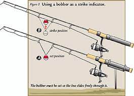 Fishing Patterns For Flathead And Channel Catfish Fishing Tips Trout Fishing Tips Catfish Fishing