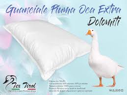 Set x passeggino composto da cuscino e copri piumino in 100% cotone di alta qualità, made in ue misure: Guanciale Cuscino Piuma Piumino Oca Dolomiti Tex Tirol C Amazon It Casa E Cucina