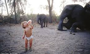 Afrika Bozkirlarinin Vahsi Hayvanlara Fisildayan Minik Kizi Tippi Degre Biz Evde Yokuz